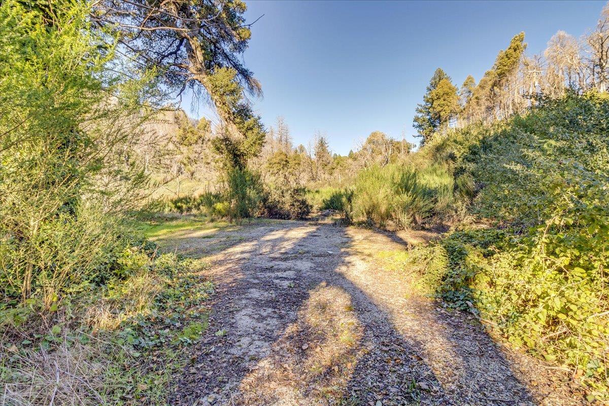 Detail Gallery Image 6 of 28 For 11035 Empire Grade, Santa Cruz,  CA 95060 - – Beds | – Baths