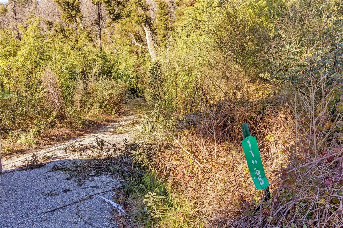 Detail Gallery Image 8 of 28 For 11035 Empire Grade, Santa Cruz,  CA 95060 - – Beds | – Baths