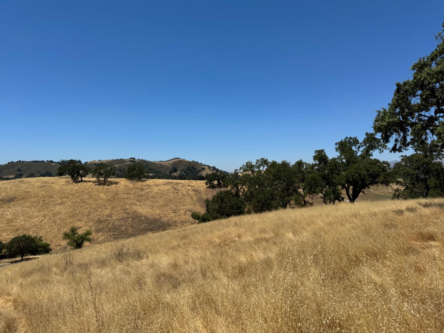 Detail Gallery Image 2 of 8 For 0 W San Martin Ave, San Martin,  CA 95046 - – Beds | – Baths