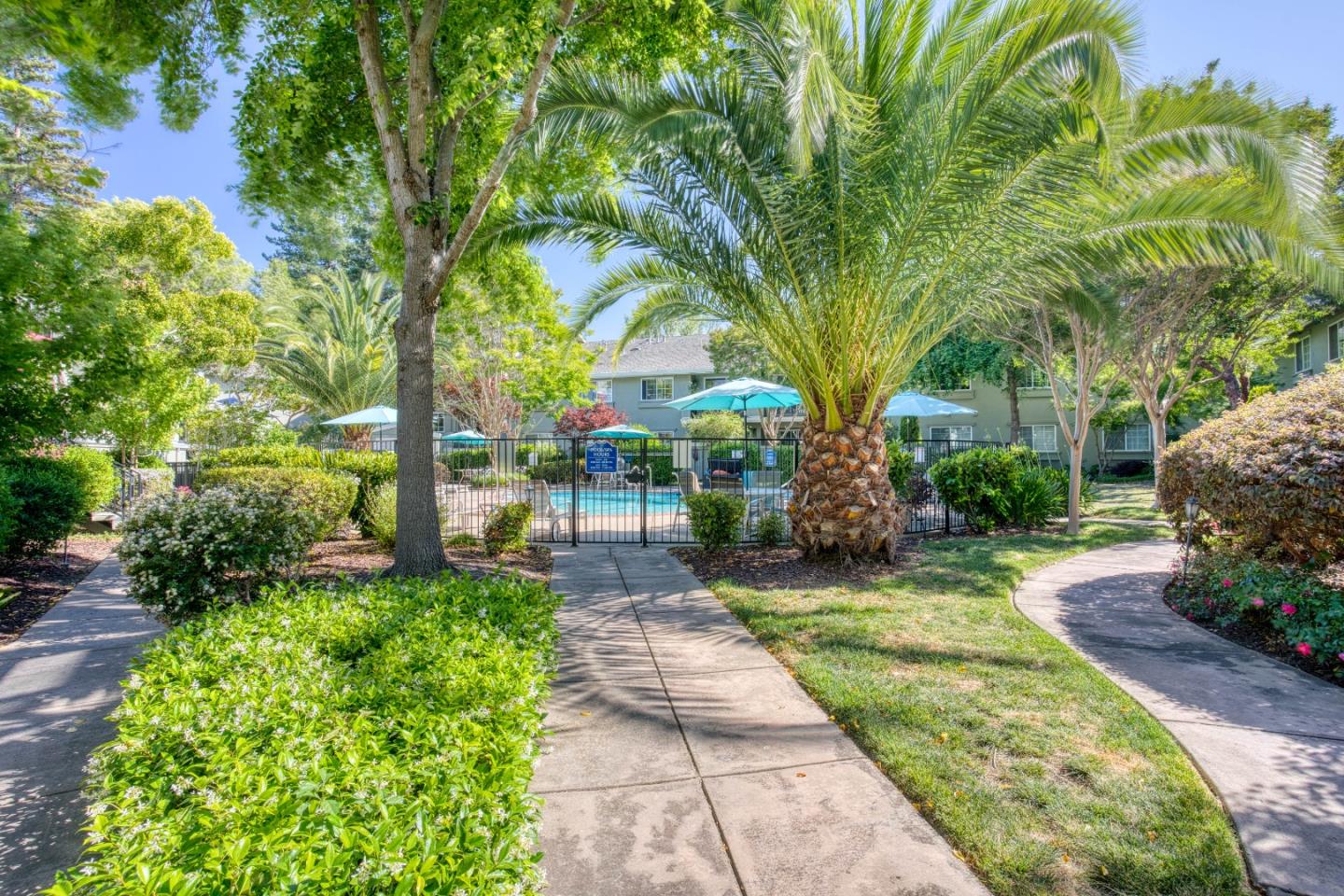 Photo #31: ML82031056 Listing: Photo #31