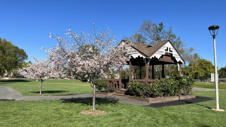 Detail Gallery Image 59 of 60 For 10884 via Sorrento, Cupertino,  CA 95014 - 4 Beds | 2/1 Baths