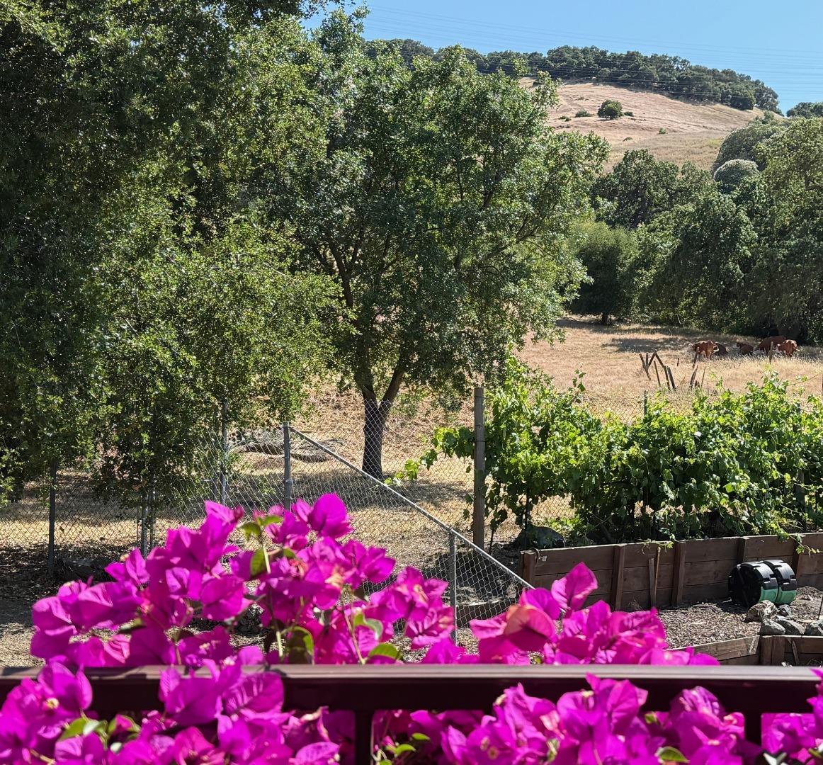 Detail Gallery Image 53 of 119 For 6449 Curie Ct, San Jose,  CA 95123 - 4 Beds | 2/1 Baths