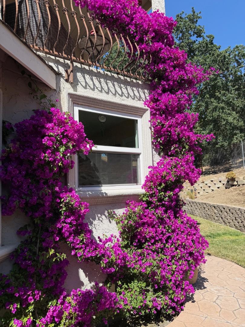 Detail Gallery Image 94 of 119 For 6449 Curie Ct, San Jose,  CA 95123 - 4 Beds | 2/1 Baths