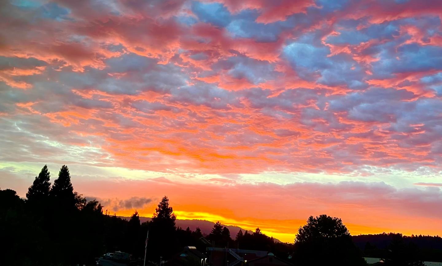 Detail Gallery Image 28 of 29 For 903 Lundy Ln, Scotts Valley,  CA 95066 - 2 Beds | 2/1 Baths