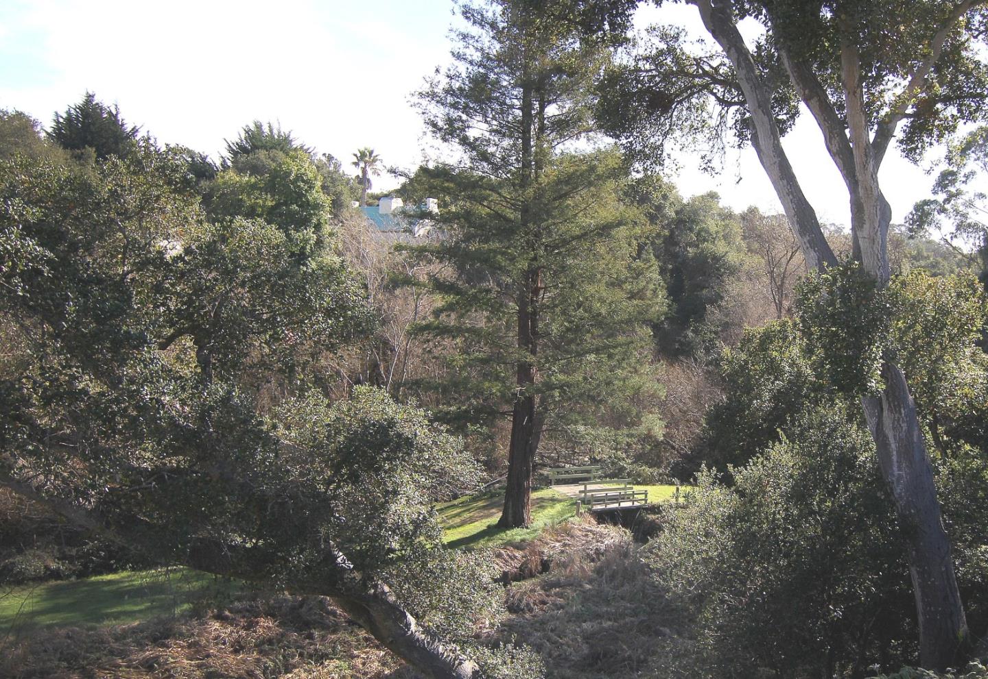 Detail Gallery Image 35 of 42 For 800 Brommer #91,  Santa Cruz,  CA 95062 - 2 Beds | 2 Baths