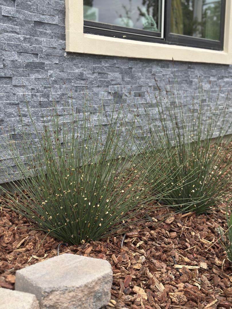 Photo #46: ML82031100 Listing: Photo #46