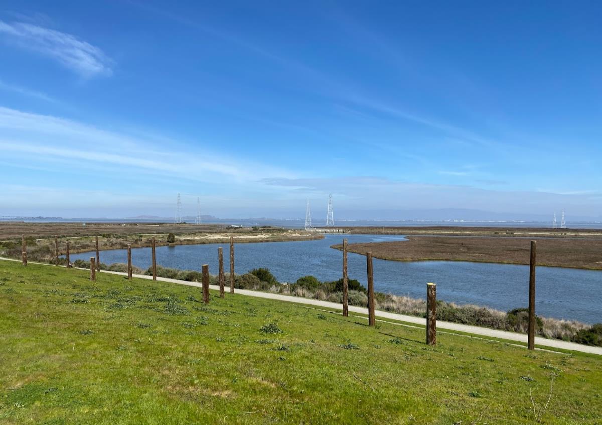 Detail Gallery Image 81 of 81 For 3151 Ramona St, Palo Alto,  CA 94306 - 3 Beds | 3 Baths