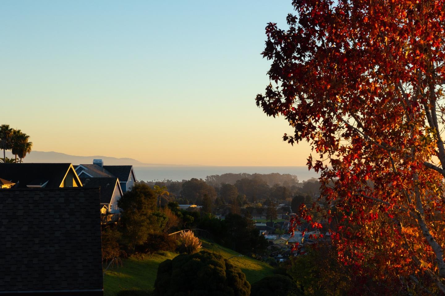 Detail Gallery Image 40 of 69 For 2520 Benson Ave, Santa Cruz,  CA 95065 - 4 Beds | 3/1 Baths