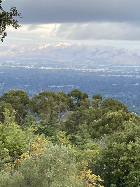 Alameda