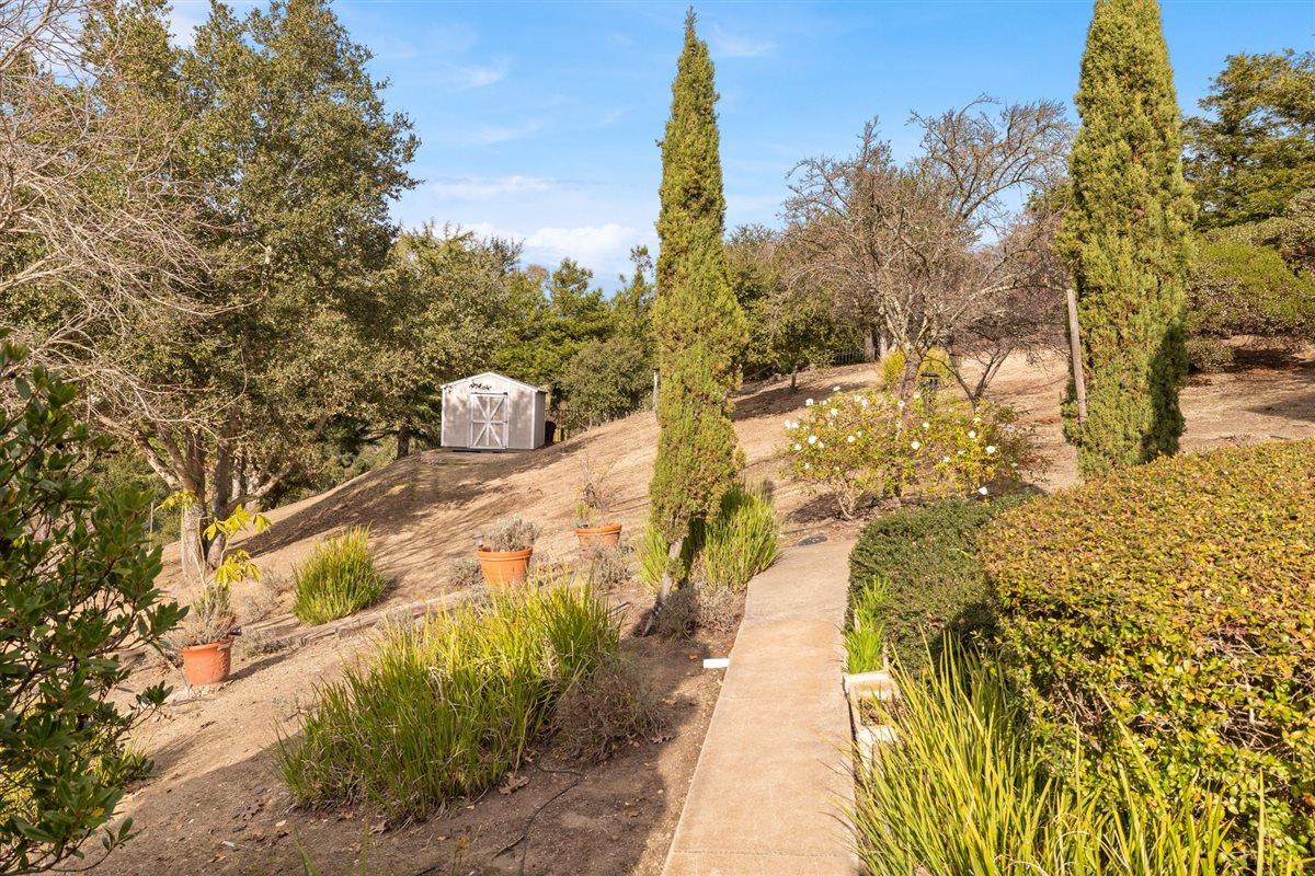 Detail Gallery Image 43 of 45 For 350 Merrill Rd, San Juan Bautista,  CA 95045 - 3 Beds | 2/1 Baths