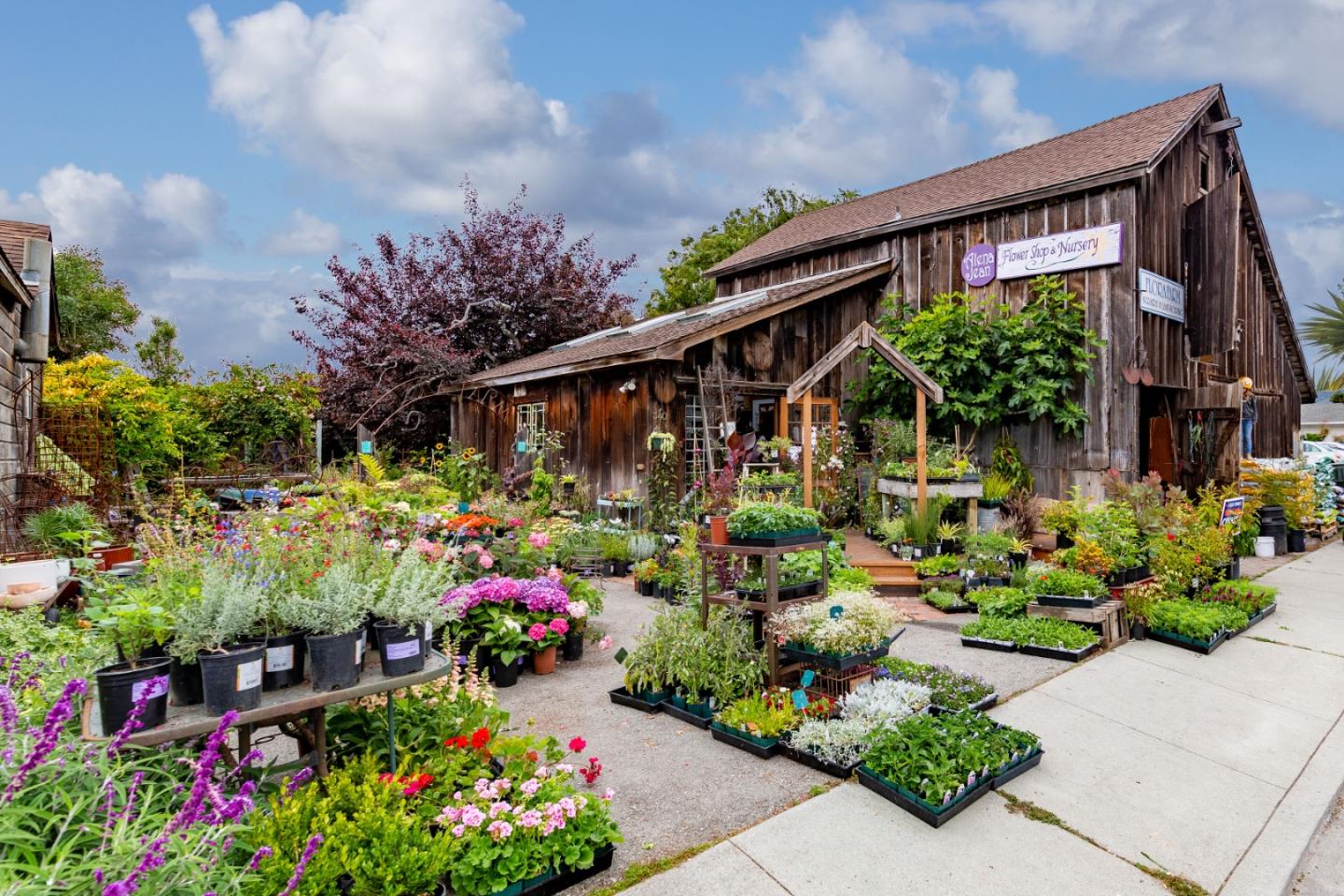 Detail Gallery Image 55 of 57 For 736 Arroyo Leon Dr, Half Moon Bay,  CA 94019 - 4 Beds | 4 Baths