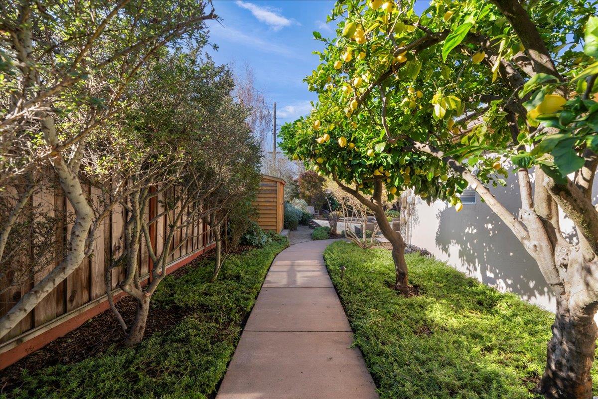 Detail Gallery Image 8 of 30 For 1975 Meridian Ave, San Jose,  CA 95125 - 2 Beds | 2 Baths