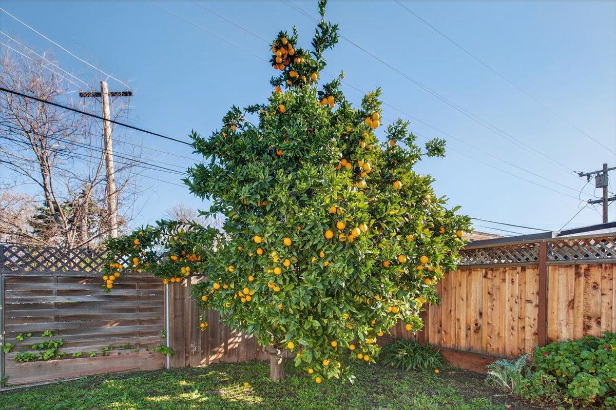 Detail Gallery Image 24 of 33 For 4273 Mckinnon Dr, San Jose,  CA 95130 - 3 Beds | 2 Baths