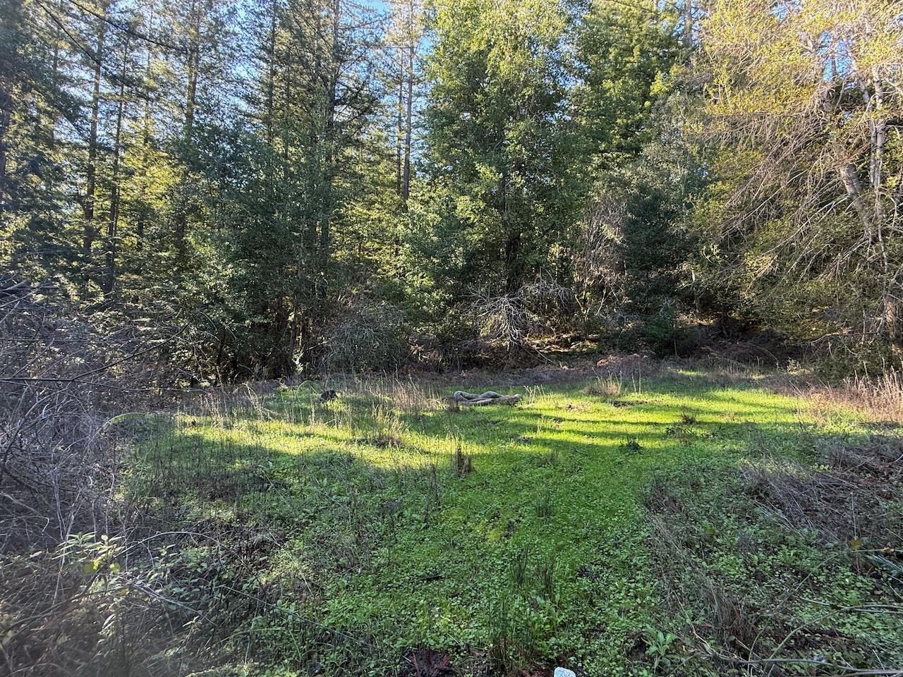 Detail Gallery Image 30 of 44 For 1000 Harmon Gulch Rd, Boulder Creek,  CA 95006 - 3 Beds | 2 Baths