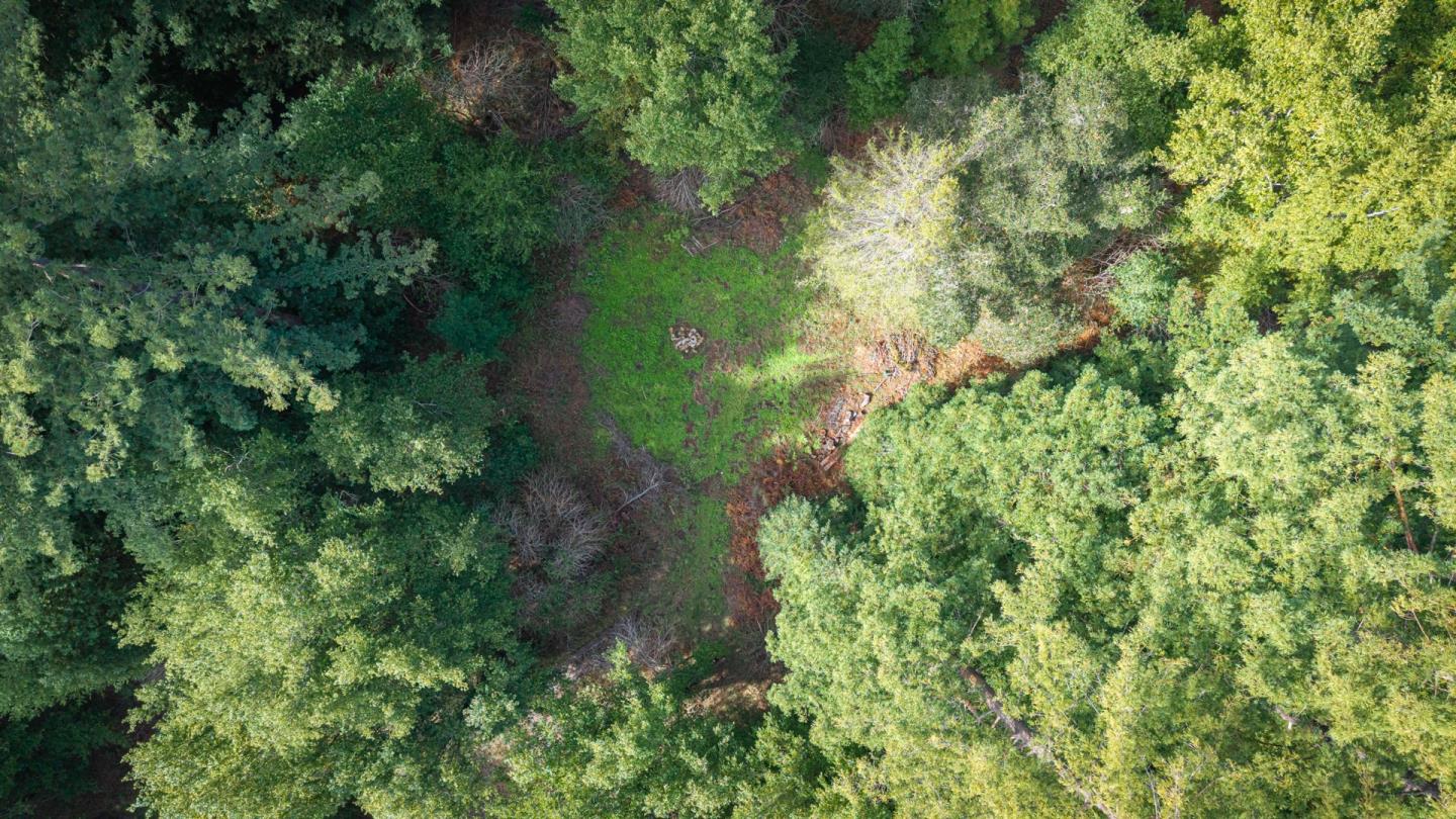 Detail Gallery Image 32 of 44 For 1000 Harmon Gulch Rd, Boulder Creek,  CA 95006 - 3 Beds | 2 Baths