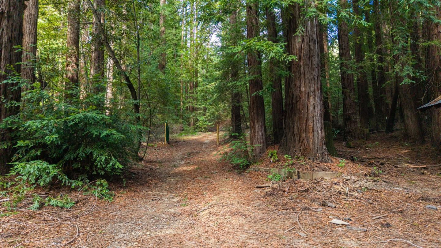 Detail Gallery Image 34 of 44 For 1000 Harmon Gulch Rd, Boulder Creek,  CA 95006 - 3 Beds | 2 Baths