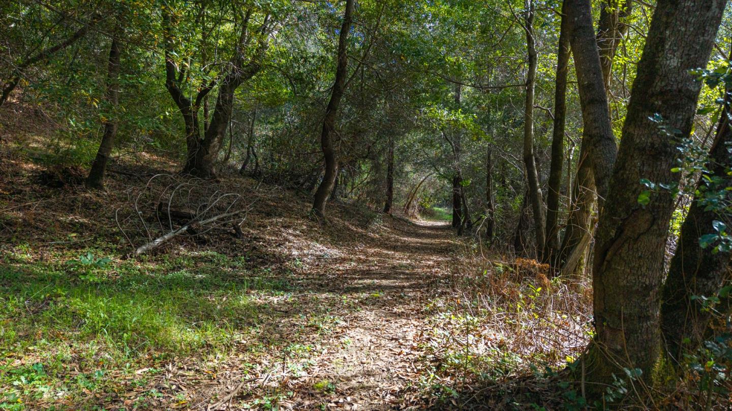 Detail Gallery Image 36 of 44 For 1000 Harmon Gulch Rd, Boulder Creek,  CA 95006 - 3 Beds | 2 Baths