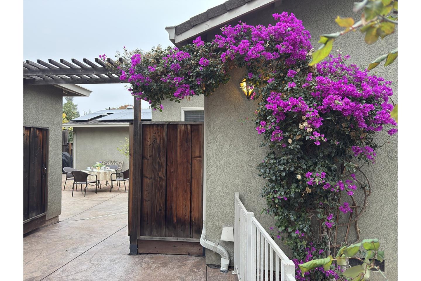 Detail Gallery Image 51 of 56 For 649 Minnesota Ave, San Jose,  CA 95125 - 3 Beds | 2 Baths