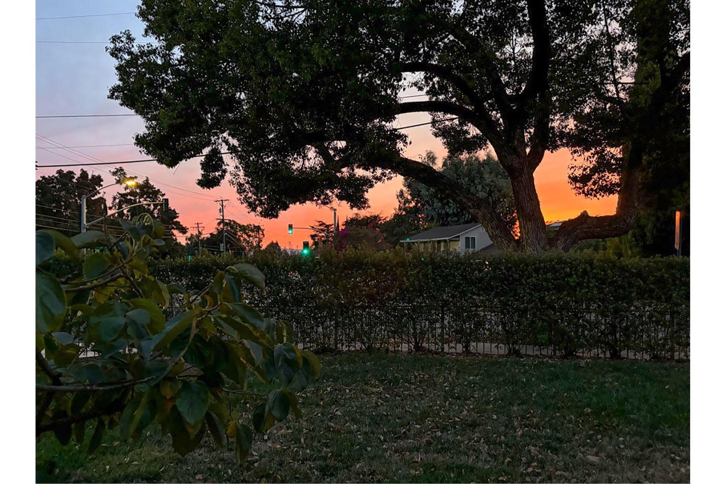 Detail Gallery Image 56 of 56 For 649 Minnesota Ave, San Jose,  CA 95125 - 3 Beds | 2 Baths