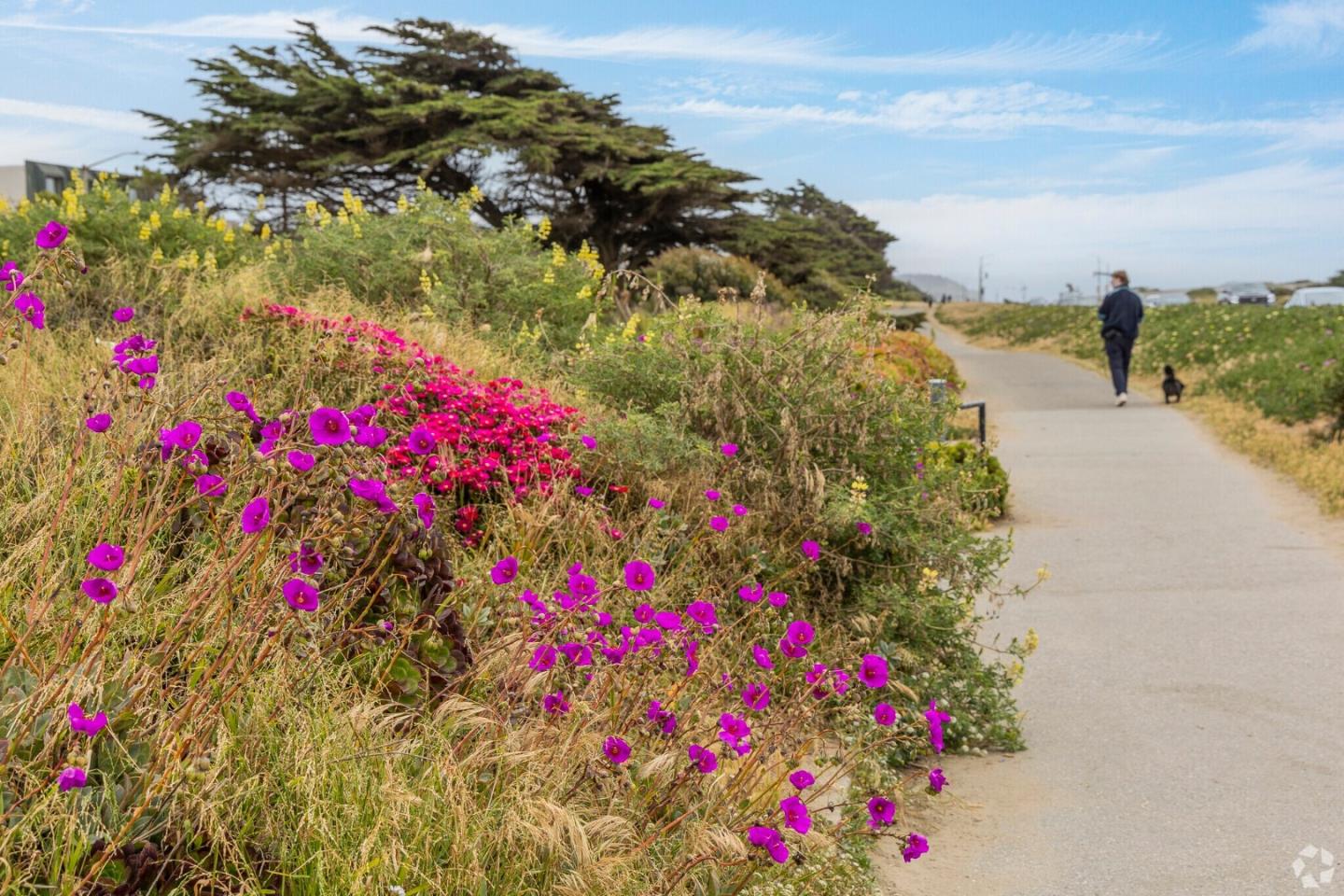 Detail Gallery Image 103 of 113 For 4040 Ortega St, San Francisco,  CA 94122 - 3 Beds | 2 Baths