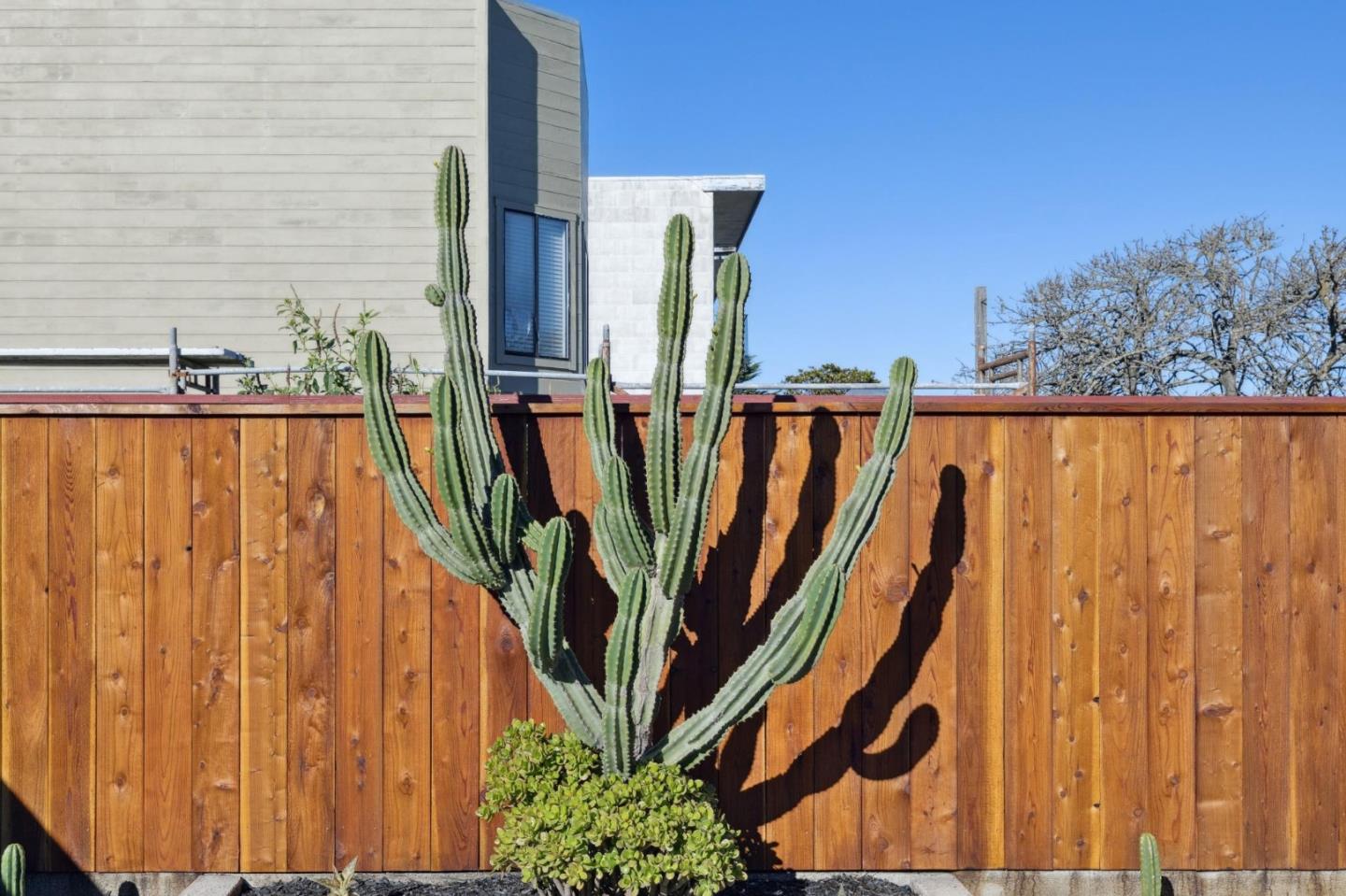 Detail Gallery Image 81 of 113 For 4040 Ortega St, San Francisco,  CA 94122 - 3 Beds | 2 Baths