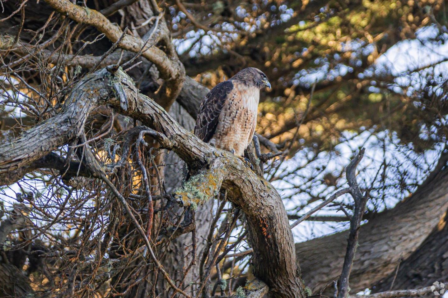 Detail Gallery Image 97 of 113 For 4040 Ortega St, San Francisco,  CA 94122 - 3 Beds | 2 Baths