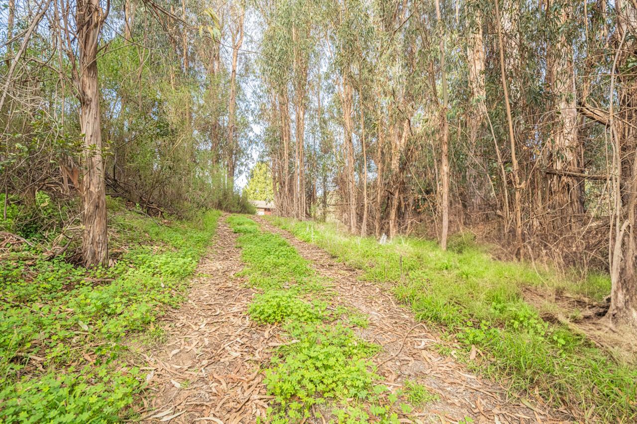 Detail Gallery Image 11 of 15 For 19260 Pioneer Pl, Aromas,  CA 95004 - – Beds | – Baths