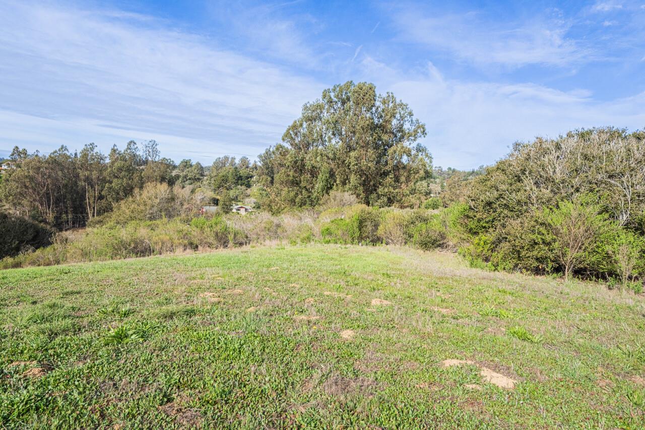 Detail Gallery Image 12 of 15 For 19260 Pioneer Pl, Aromas,  CA 95004 - – Beds | – Baths
