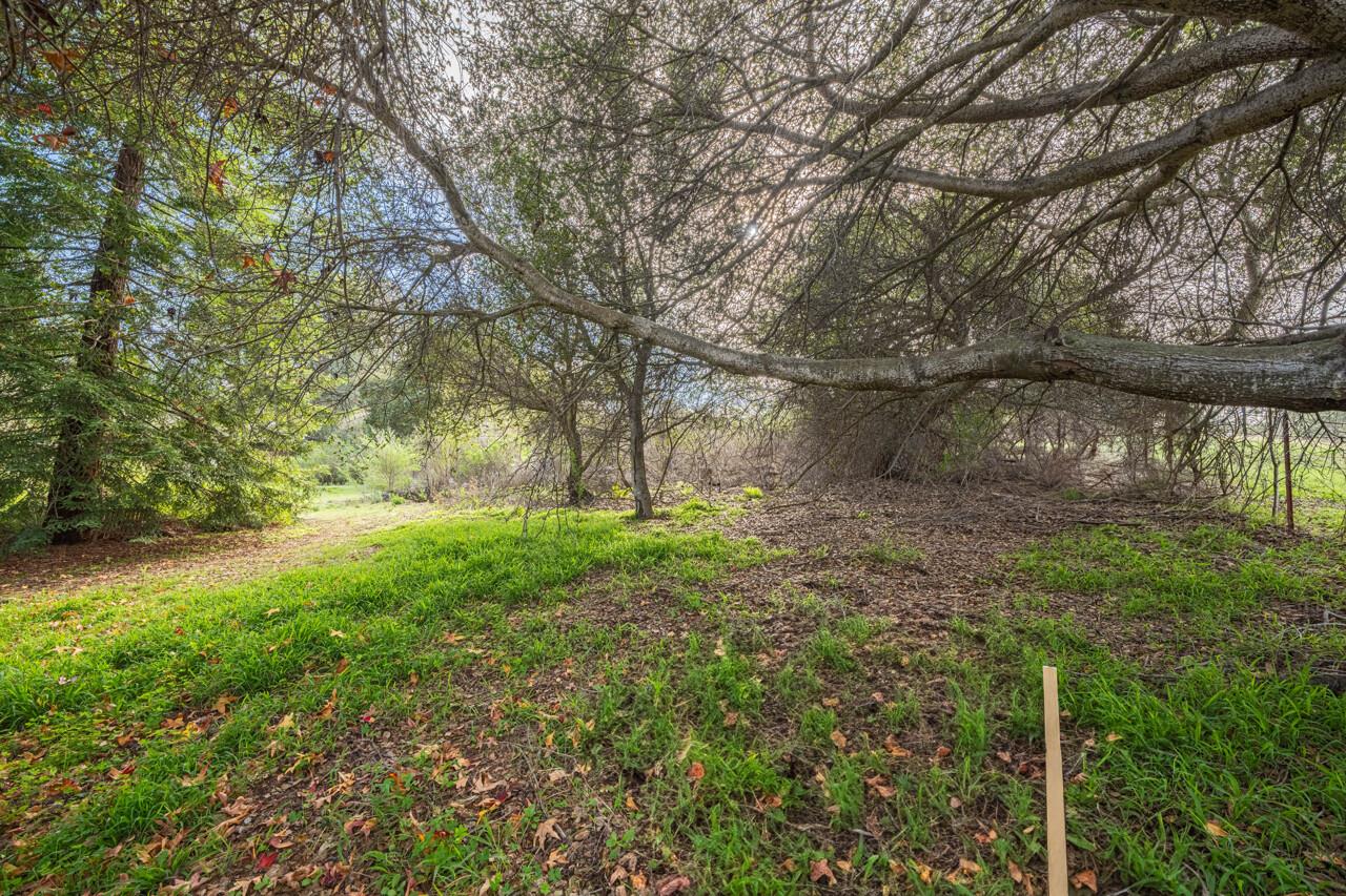 Detail Gallery Image 15 of 15 For 19260 Pioneer Pl, Aromas,  CA 95004 - – Beds | – Baths