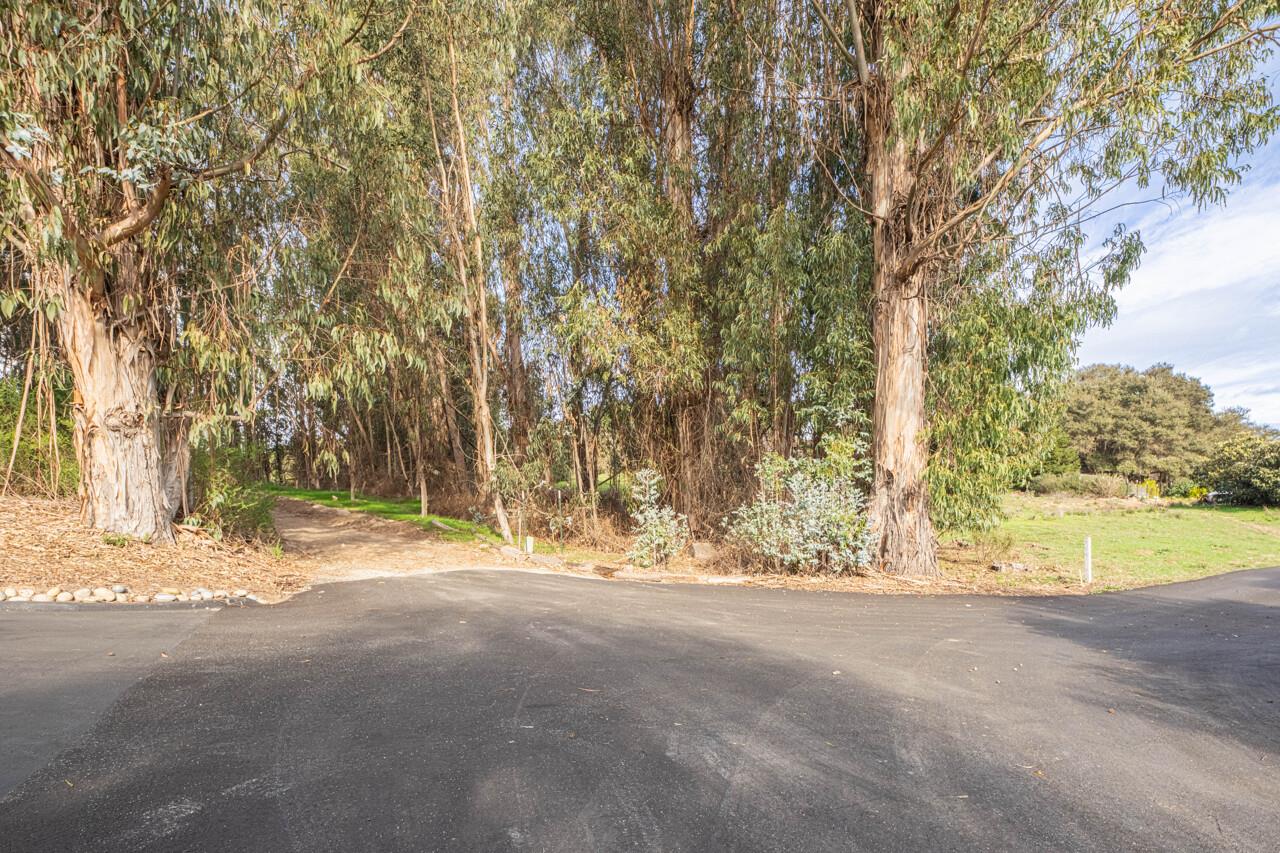 Detail Gallery Image 9 of 15 For 19260 Pioneer Pl, Aromas,  CA 95004 - – Beds | – Baths