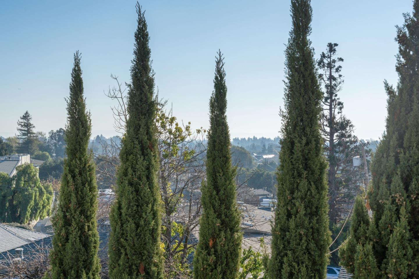 Detail Gallery Image 61 of 73 For 15675 Liberty St, San Leandro,  CA 94578 - 3 Beds | 2/1 Baths