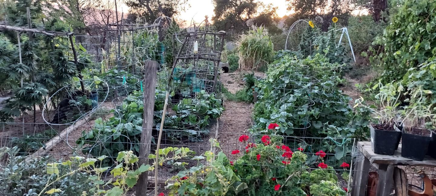 Detail Gallery Image 32 of 40 For 1495 Don's Rd, Boulder Creek,  CA 95006 - 2 Beds | 2 Baths