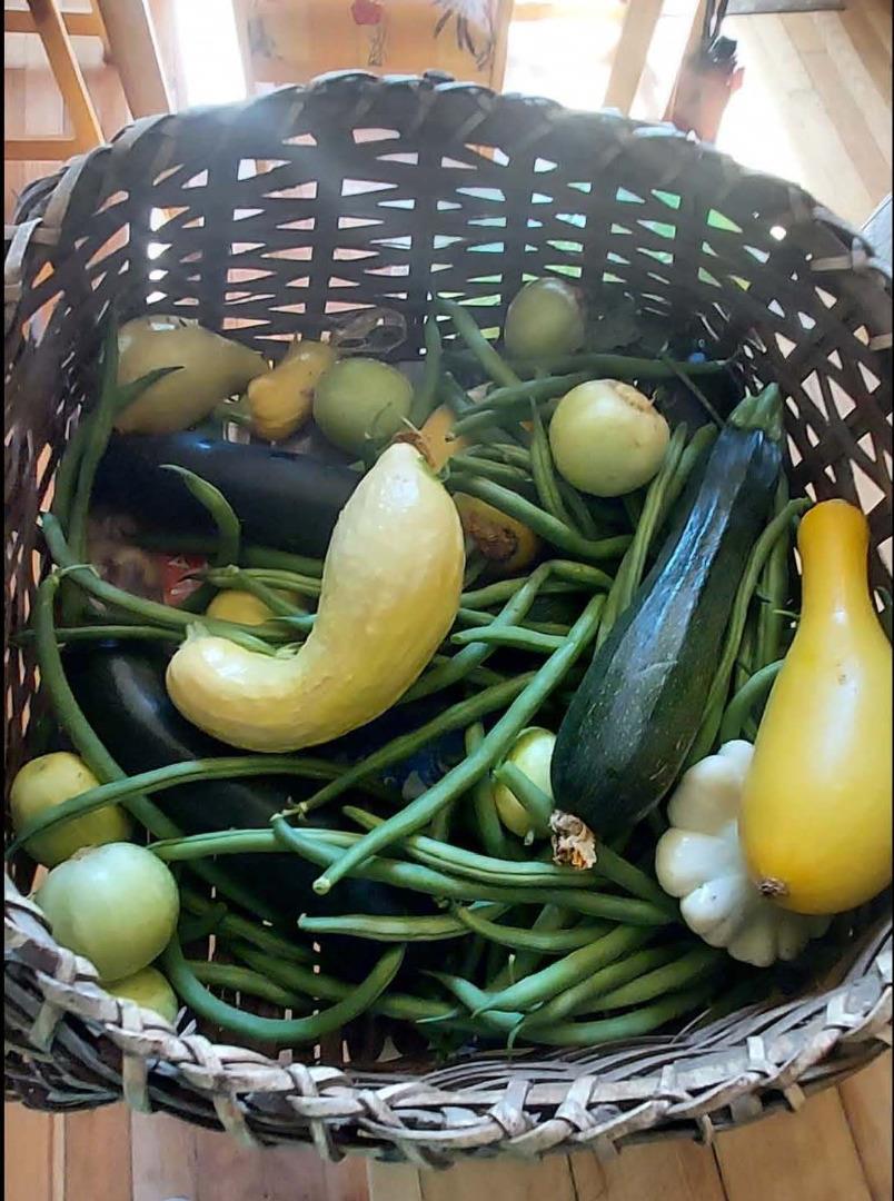 Detail Gallery Image 34 of 40 For 1495 Don's Rd, Boulder Creek,  CA 95006 - 2 Beds | 2 Baths