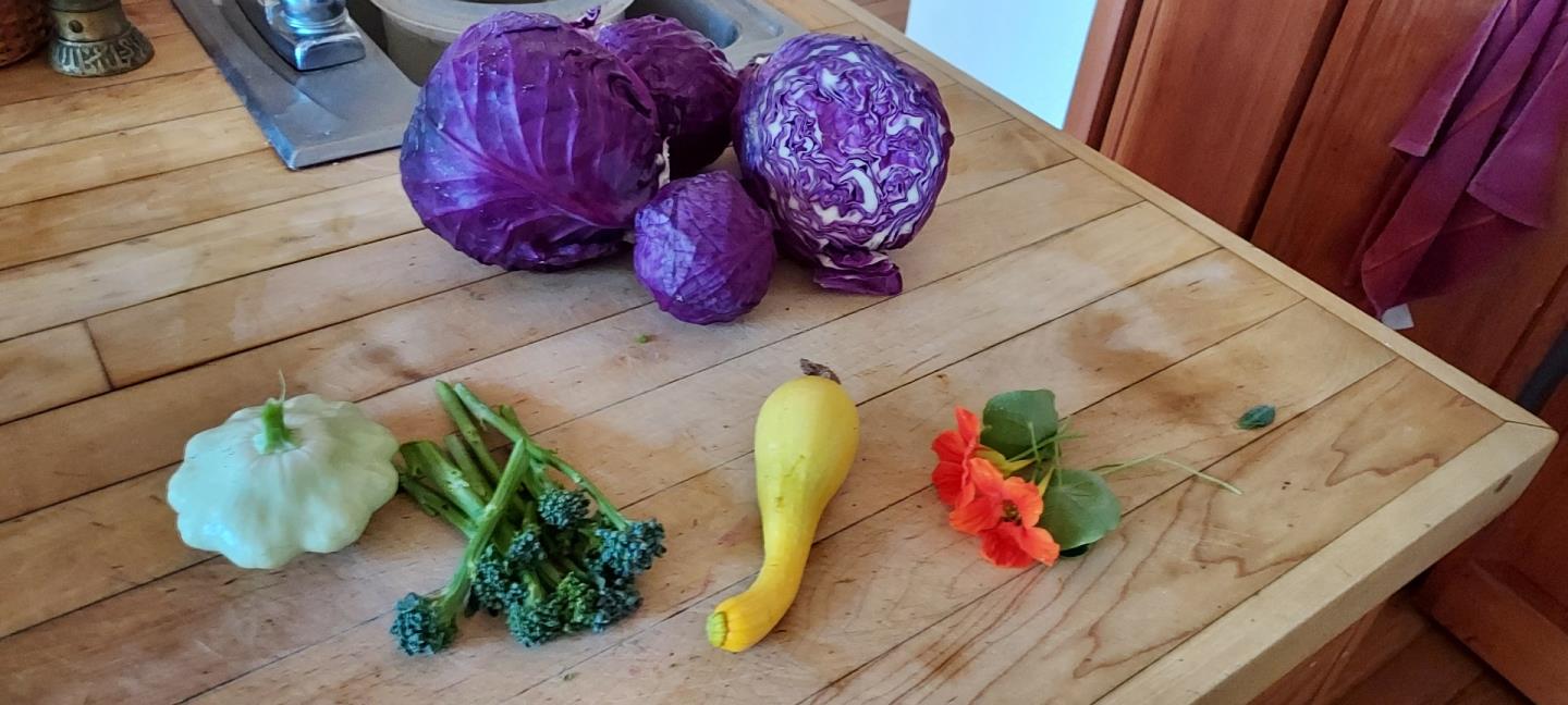 Detail Gallery Image 35 of 40 For 1495 Don's Rd, Boulder Creek,  CA 95006 - 2 Beds | 2 Baths