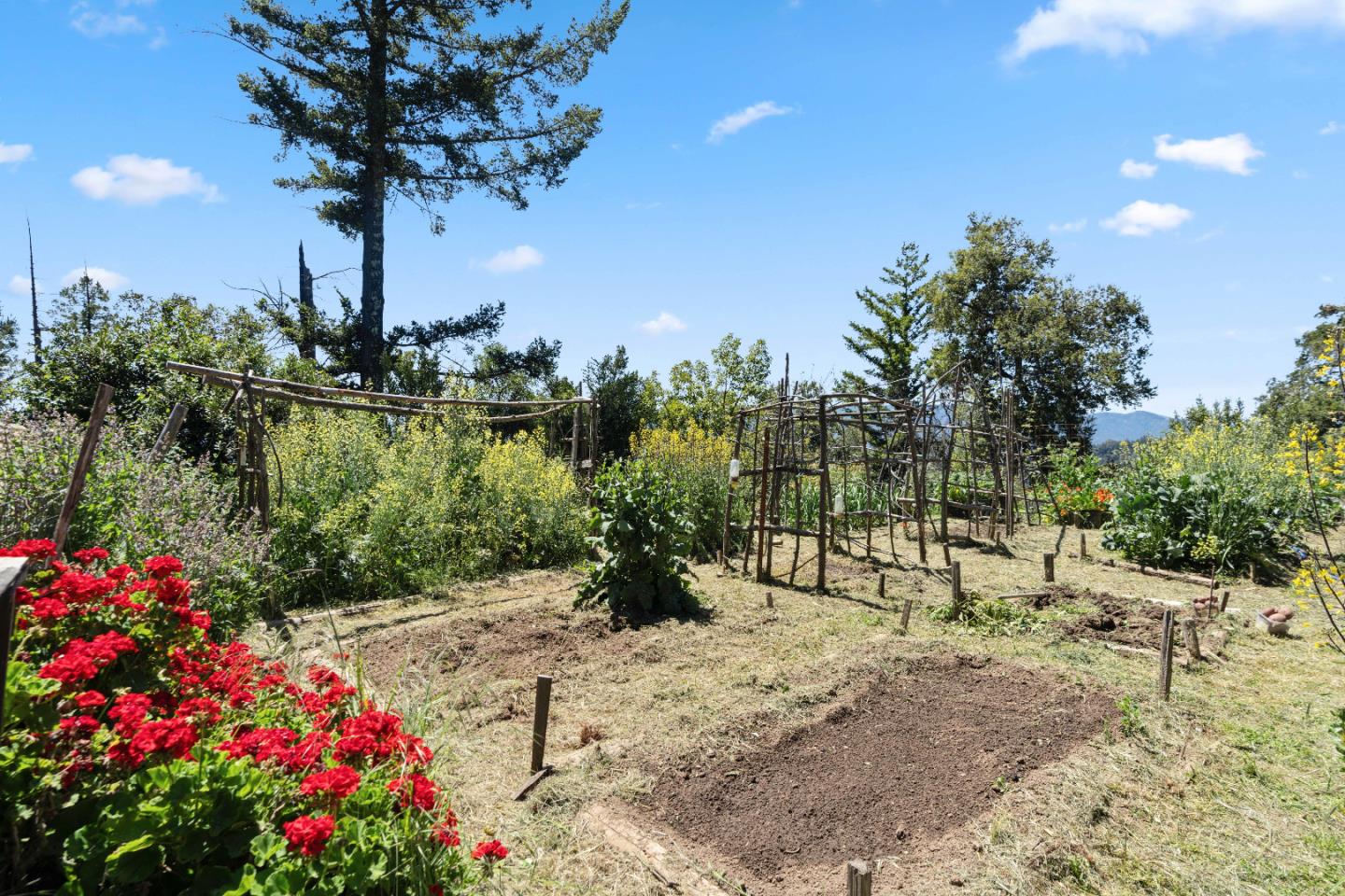 Detail Gallery Image 36 of 40 For 1495 Don's Rd, Boulder Creek,  CA 95006 - 2 Beds | 2 Baths