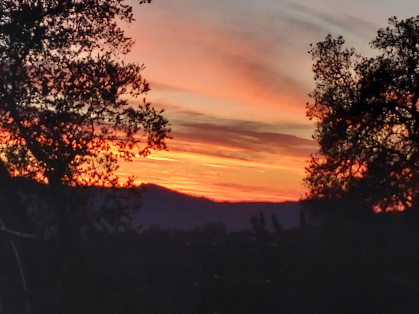 Detail Gallery Image 39 of 40 For 1495 Don's Rd, Boulder Creek,  CA 95006 - 2 Beds | 2 Baths