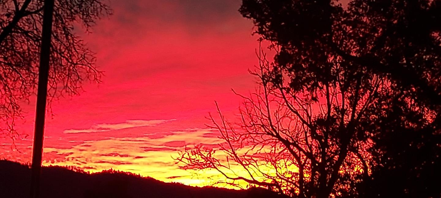 Detail Gallery Image 40 of 40 For 1495 Don's Rd, Boulder Creek,  CA 95006 - 2 Beds | 2 Baths