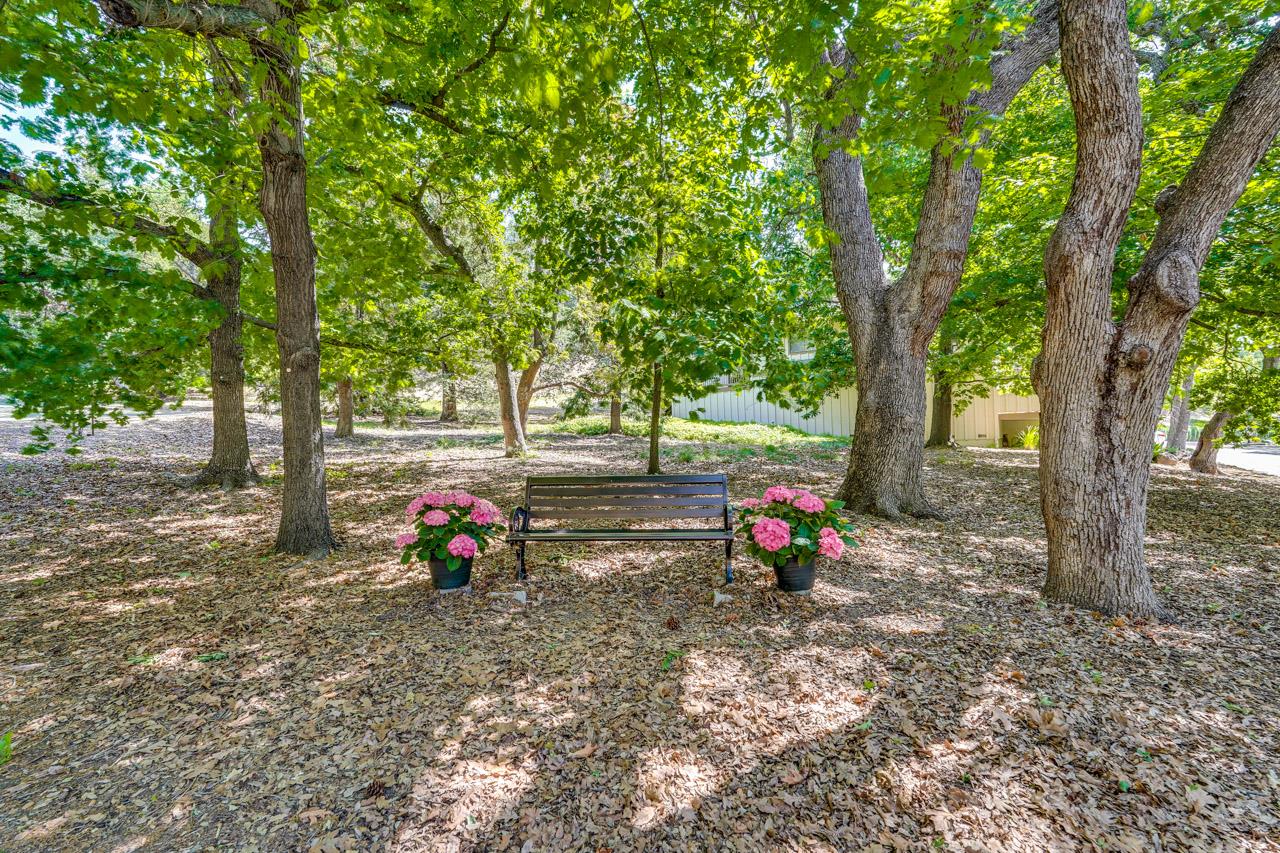 Photo #45: ML82031372 Listing: Photo #45