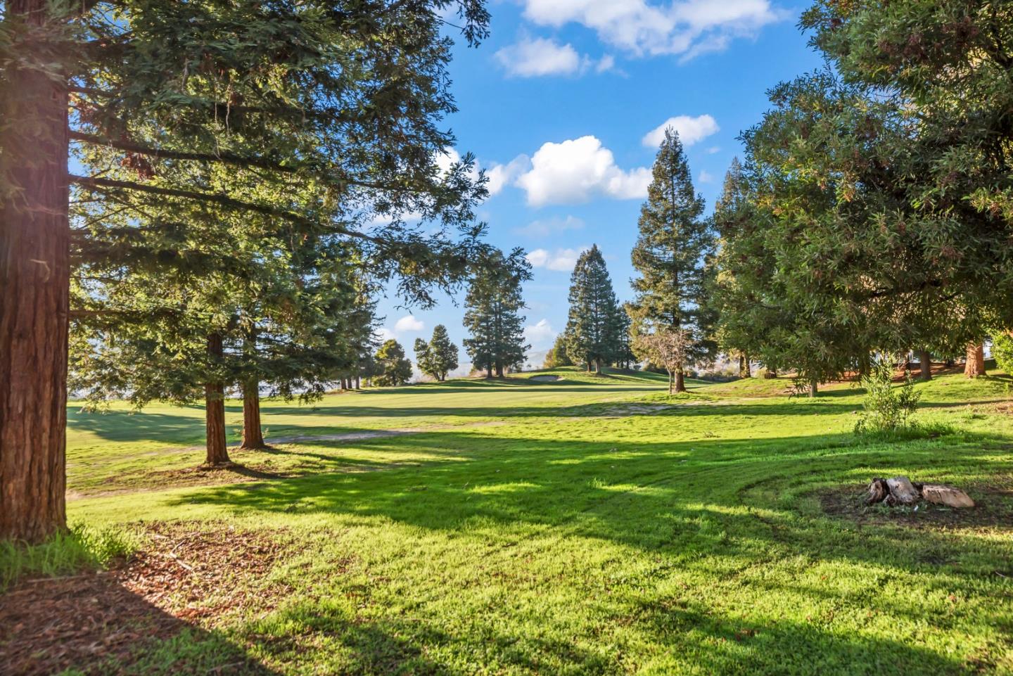 Detail Gallery Image 28 of 30 For 306 S Overlook Dr, San Ramon,  CA 94582 - 1 Beds | 1 Baths