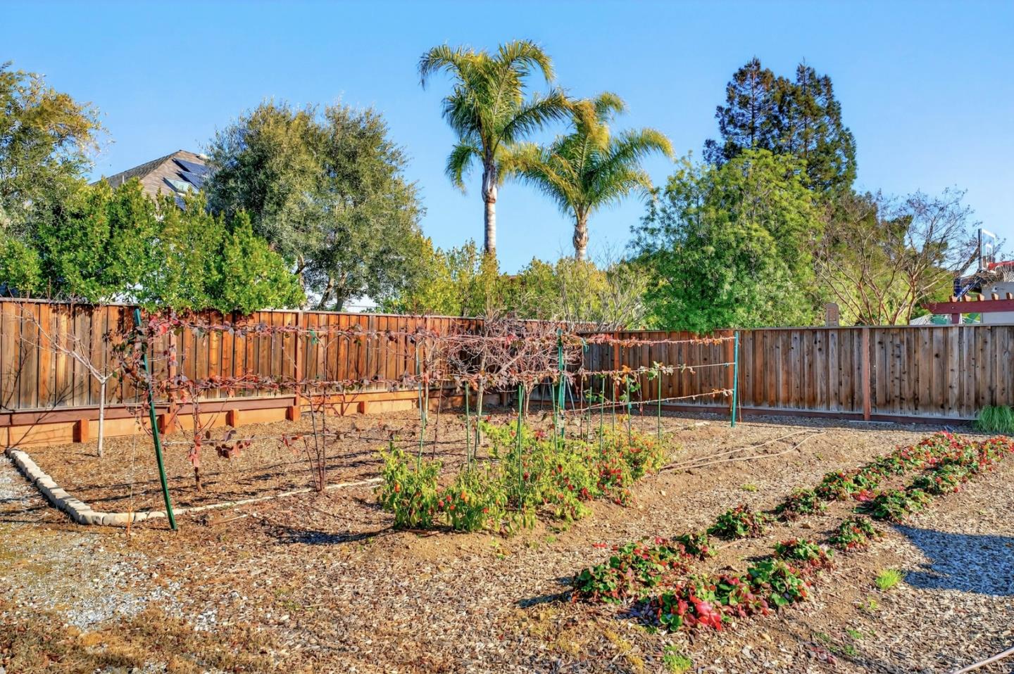 Detail Gallery Image 30 of 36 For 1655 Martinez Way, Morgan Hill,  CA 95037 - 4 Beds | 2/1 Baths