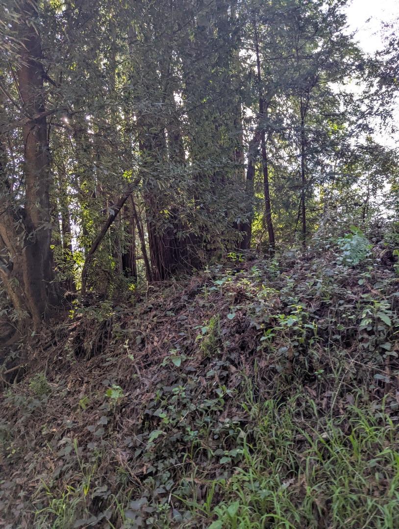 Detail Gallery Image 3 of 6 For 8055 Glen Haven Rd, Soquel,  CA 95073 - – Beds | – Baths