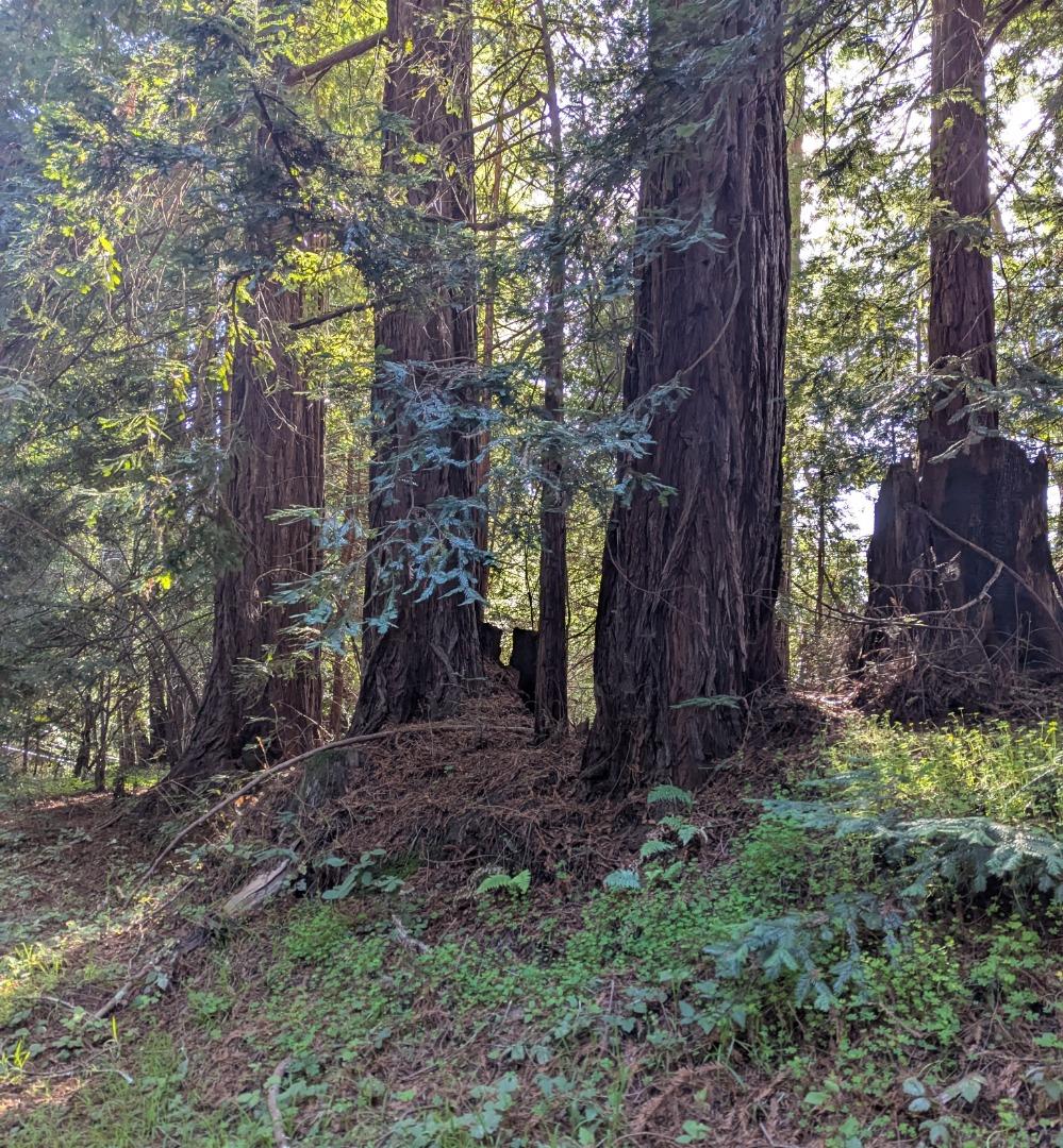 Detail Gallery Image 4 of 6 For 8055 Glen Haven Rd, Soquel,  CA 95073 - – Beds | – Baths