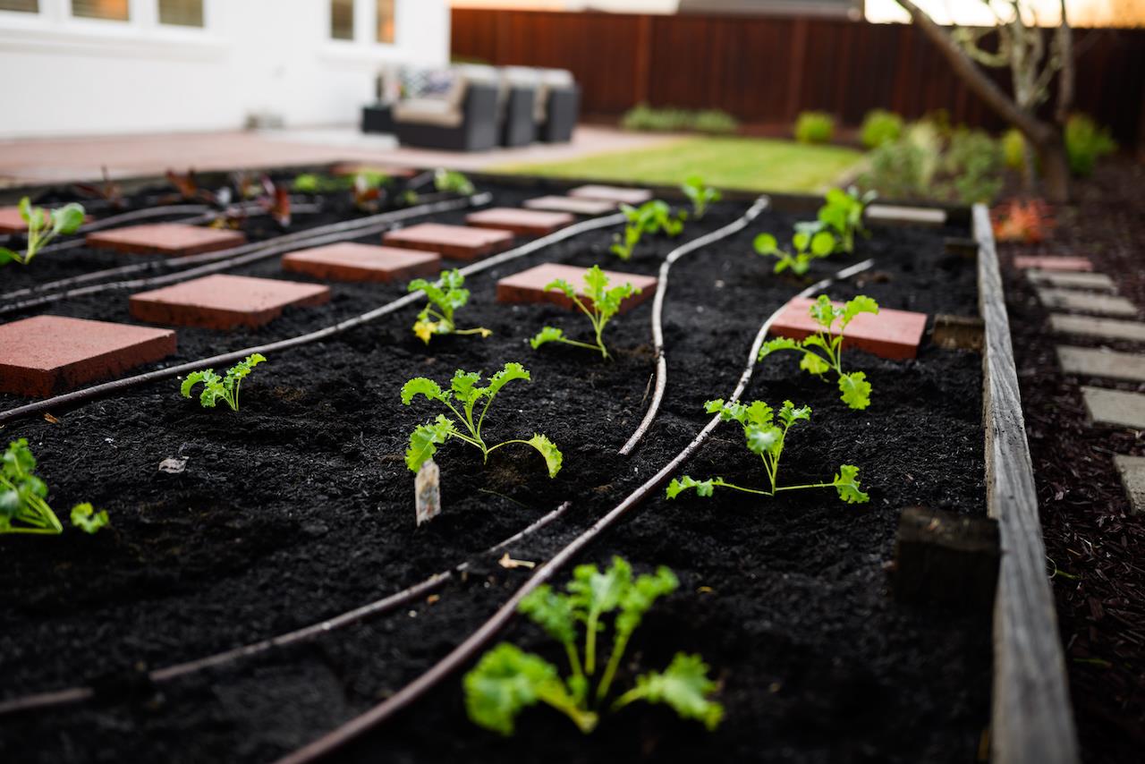 Detail Gallery Image 102 of 124 For 31 Deerfield Dr, Scotts Valley,  CA 95066 - 4 Beds | 3/1 Baths