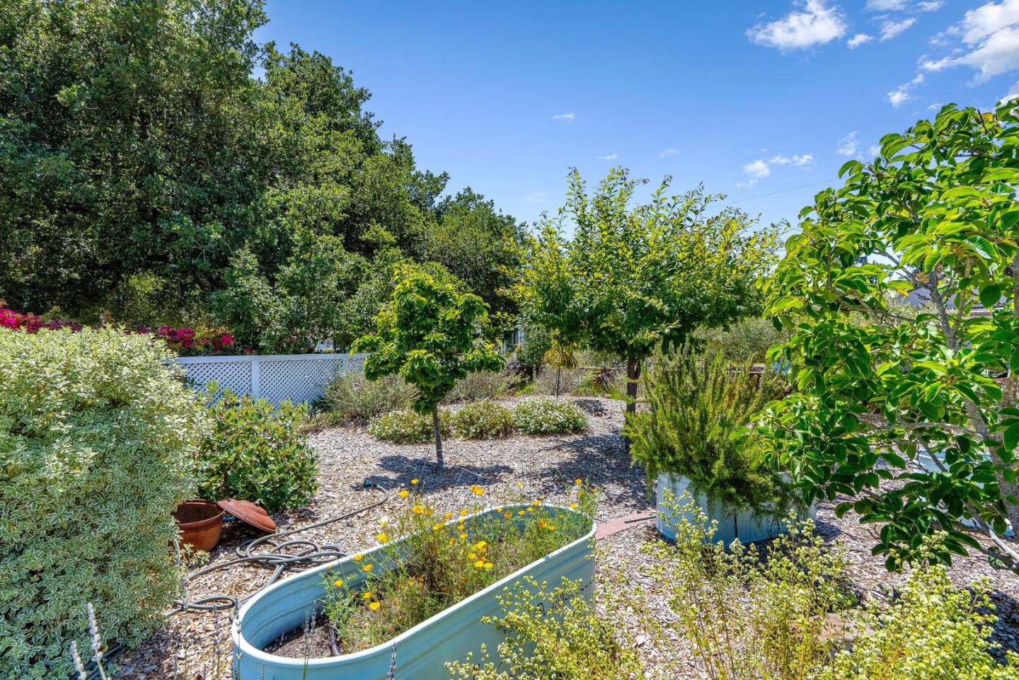 Detail Gallery Image 16 of 91 For 1212 Laurent St, Santa Cruz,  CA 95060 - 3 Beds | 3/1 Baths