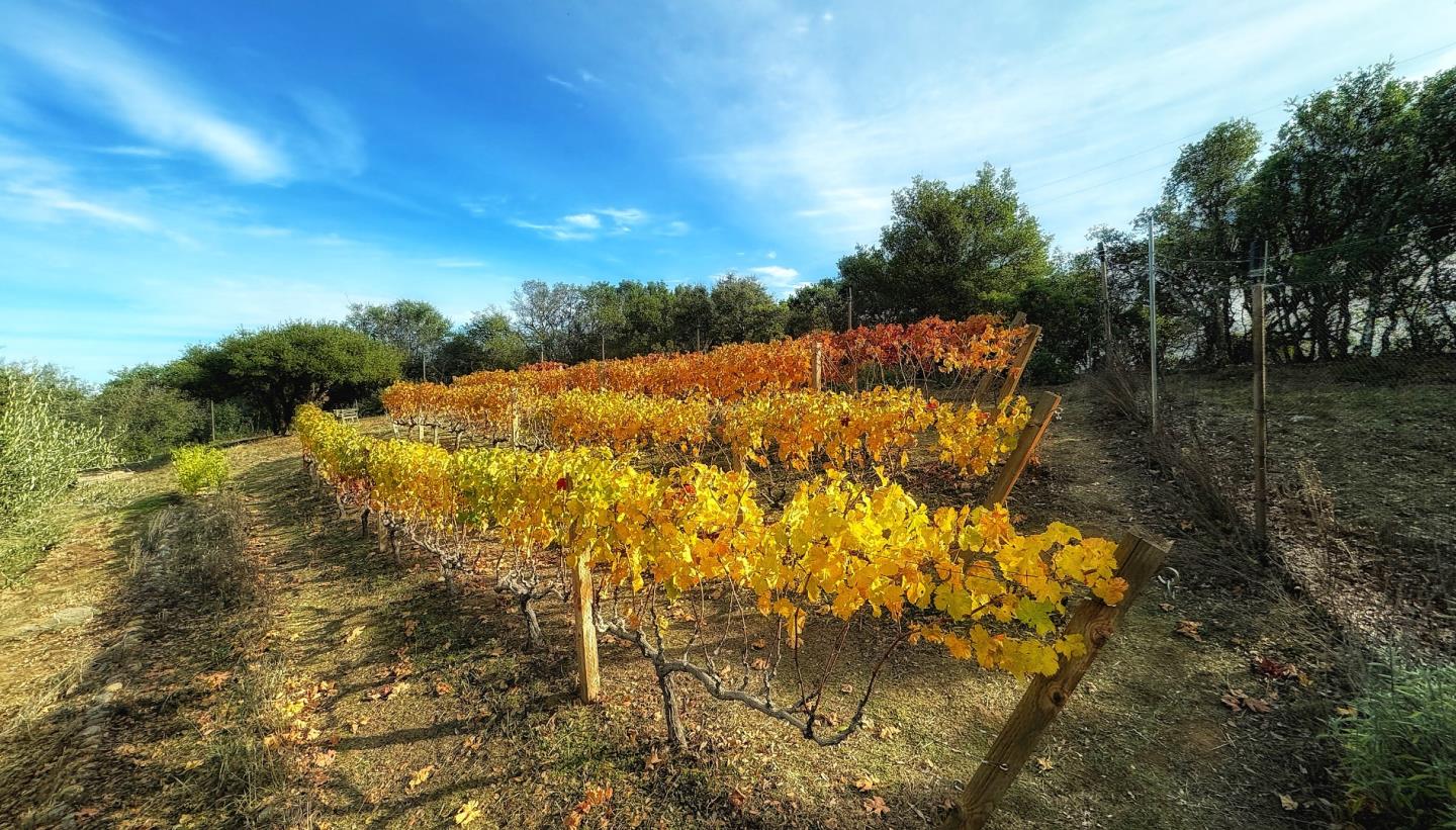 Detail Gallery Image 4 of 27 For 17035 Bohlman Rd, Saratoga,  CA 95070 - 4 Beds | 2/1 Baths