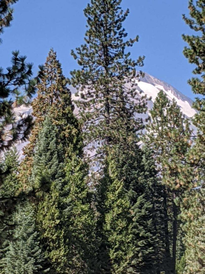 Front Image Thumbnail for ML82031545