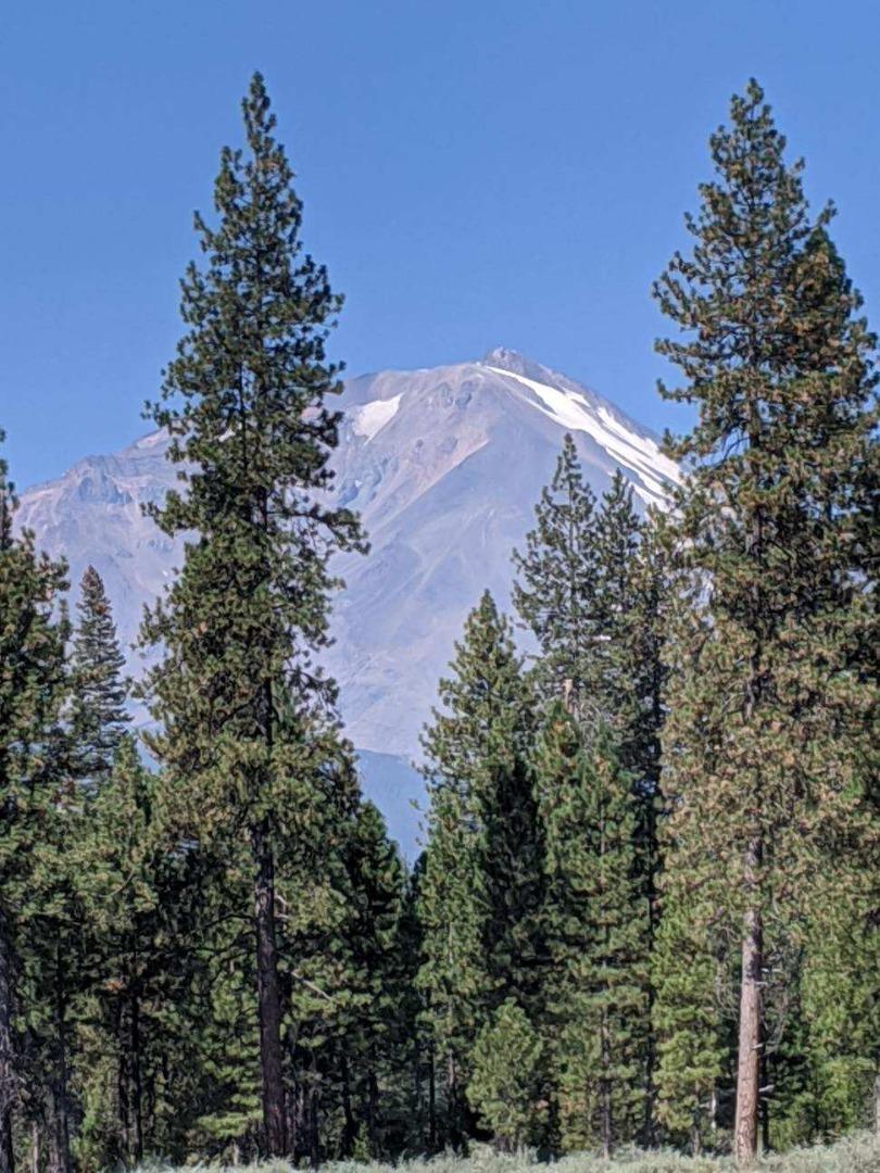 Detail Gallery Image 10 of 12 For 21 Ridge Dr, Mccloud,  CA 96057 - – Beds | – Baths