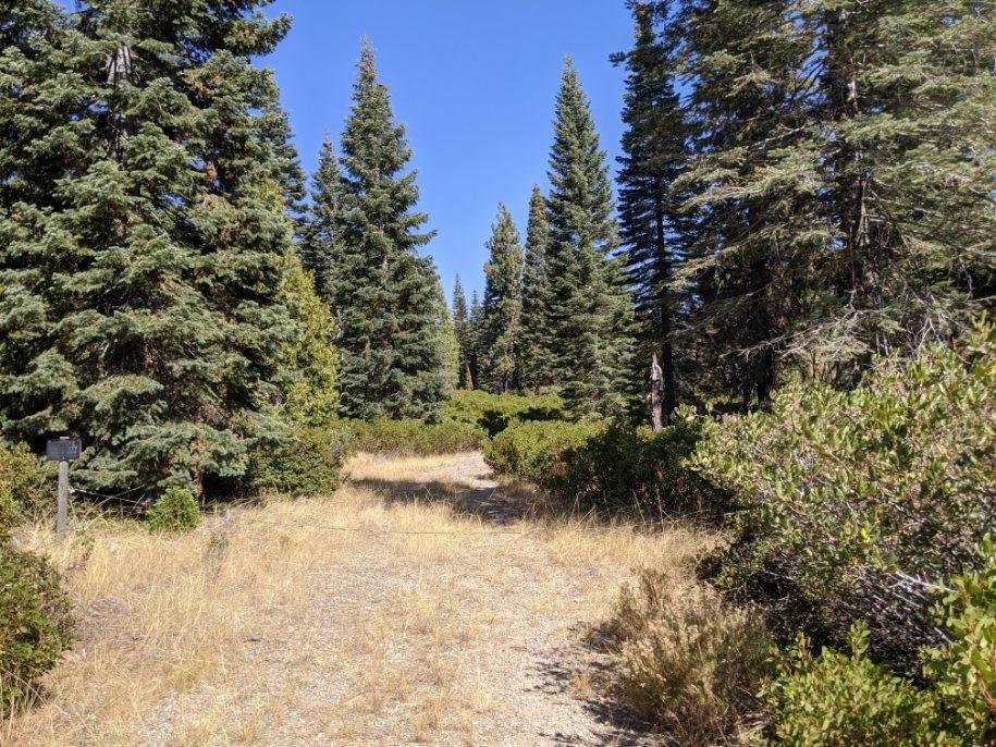 Detail Gallery Image 2 of 12 For 21 Ridge Dr, Mccloud,  CA 96057 - – Beds | – Baths