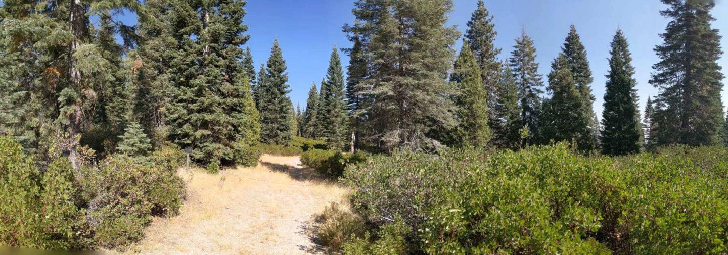 Detail Gallery Image 5 of 12 For 21 Ridge Dr, Mccloud,  CA 96057 - – Beds | – Baths