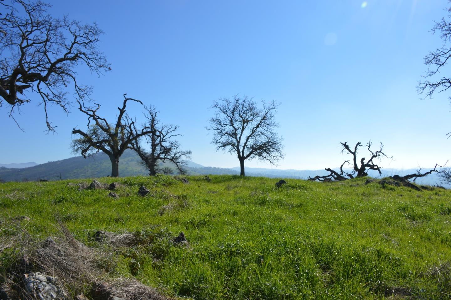 9568 Lorenzo Street, La Grange, CA, 95329